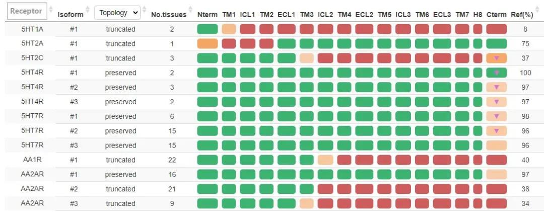 GPCR 蛋白的同工型相结合可实现多种信号传导