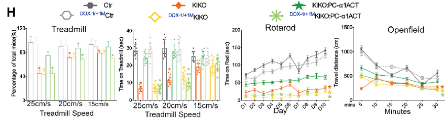 这是什么神奇步态分析系统,接连助力发表顶级期刊文献?