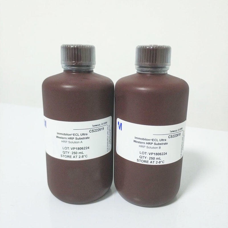 Merckmillipore WBULS0500 Immob