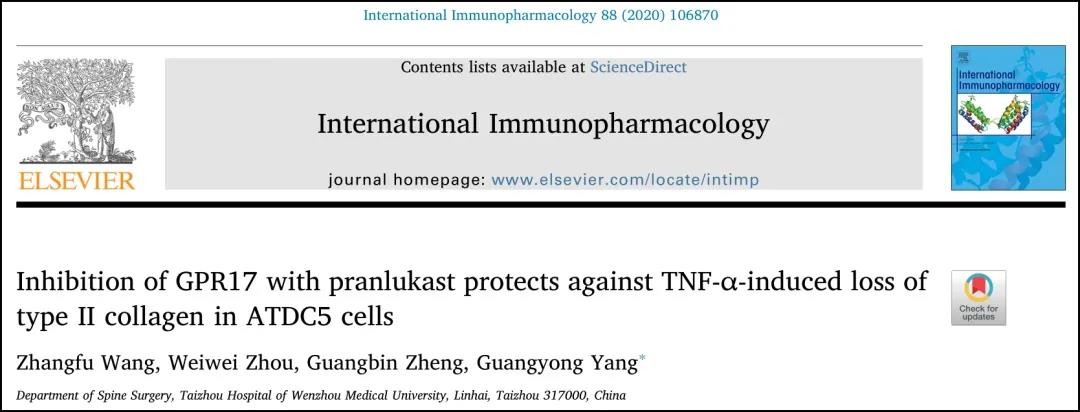 文献解读|普仑司特对GPR17的抑制作用可以防止TNF-α诱导的ATDC5细胞中II型胶原的降解