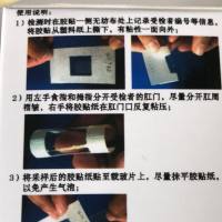 虫卵检测肛拭胶贴