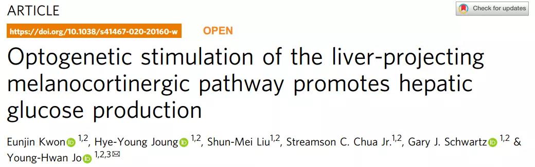 【文献解读】血糖高低谁主导？下丘脑弓状核POMC神经元调节血糖稳态的神经生物学机制