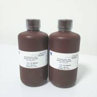 Merckmillipore WBULS0500 Immobilon ECL HRP