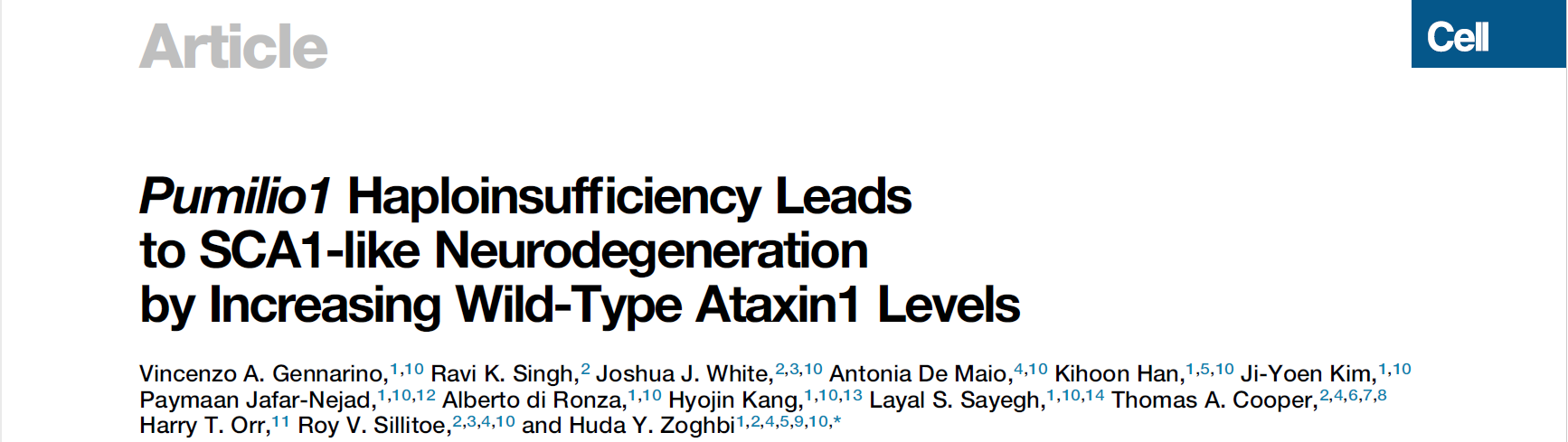 这是什么神奇步态分析系统,接连助力发表顶级期刊文献?