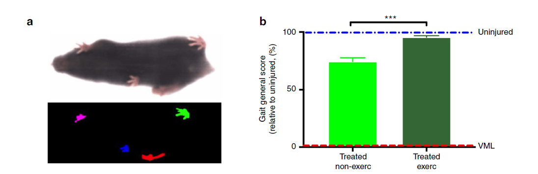 这是什么神奇步态分析系统,接连助力发表顶级期刊文献?
