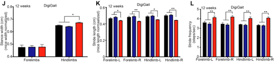 这是什么神奇步态分析系统,接连助力发表顶级期刊文献?
