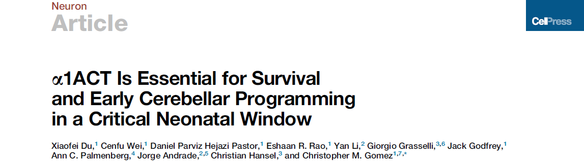 这是什么神奇步态分析系统,接连助力发表顶级期刊文献?