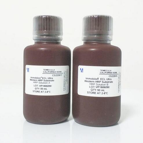 Merckmillipore WBULS0100 Immob