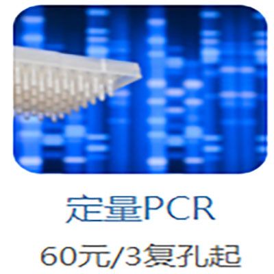 定量PCR技术服务(Real-time PCR) 