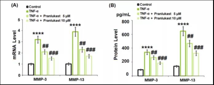 文献解读|普仑司特对GPR17的抑制作用可以防止TNF-α诱导的ATDC5细胞中II型胶原的降解