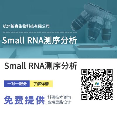 Small RNA测序分析#深度Small RNA测序分析#Small RNA表达谱分析#Small RNA高通量测序#Small RNA分子鉴定与定量分析