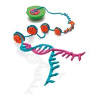 Merckmillipore 17-371 EZ CHIP KIT 22 ASSAYS