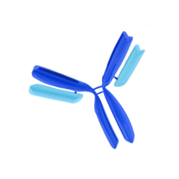 Merckmillipore AP124F IGG, GT 