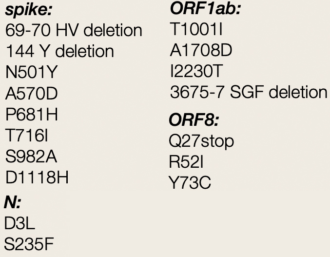 再创佳绩，义翘神州再次高效率成功表达N501Y突变体重组蛋白