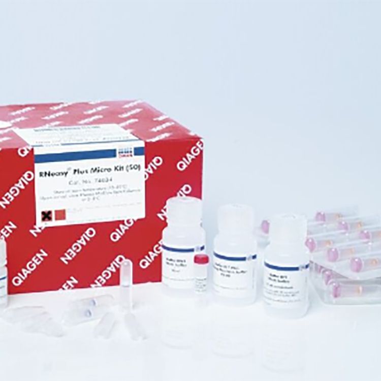 QIAGEN,生物化学试剂 试剂盒特价代理销售