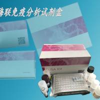 Plasma membrane calcium-transporting ATPase 2 ELISA Kit