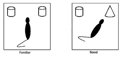 技术干货 | 详解动物行为学之学习记忆研究方法
