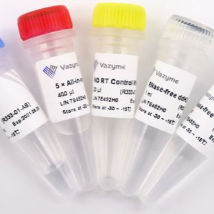 HiScript III All-in-one RT SuperMix Perfect for qPCR（RT-qPCR专用预混液）