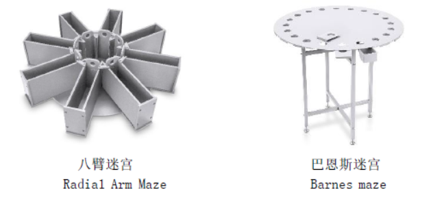 技术干货 | 详解动物行为学之学习记忆研究方法