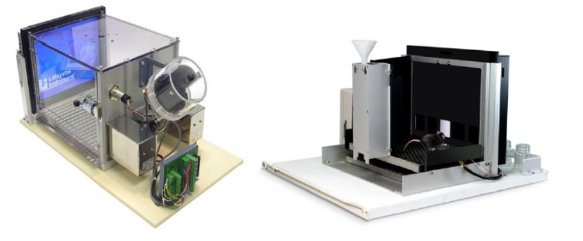 技术干货 | 详解动物行为学之学习记忆研究方法