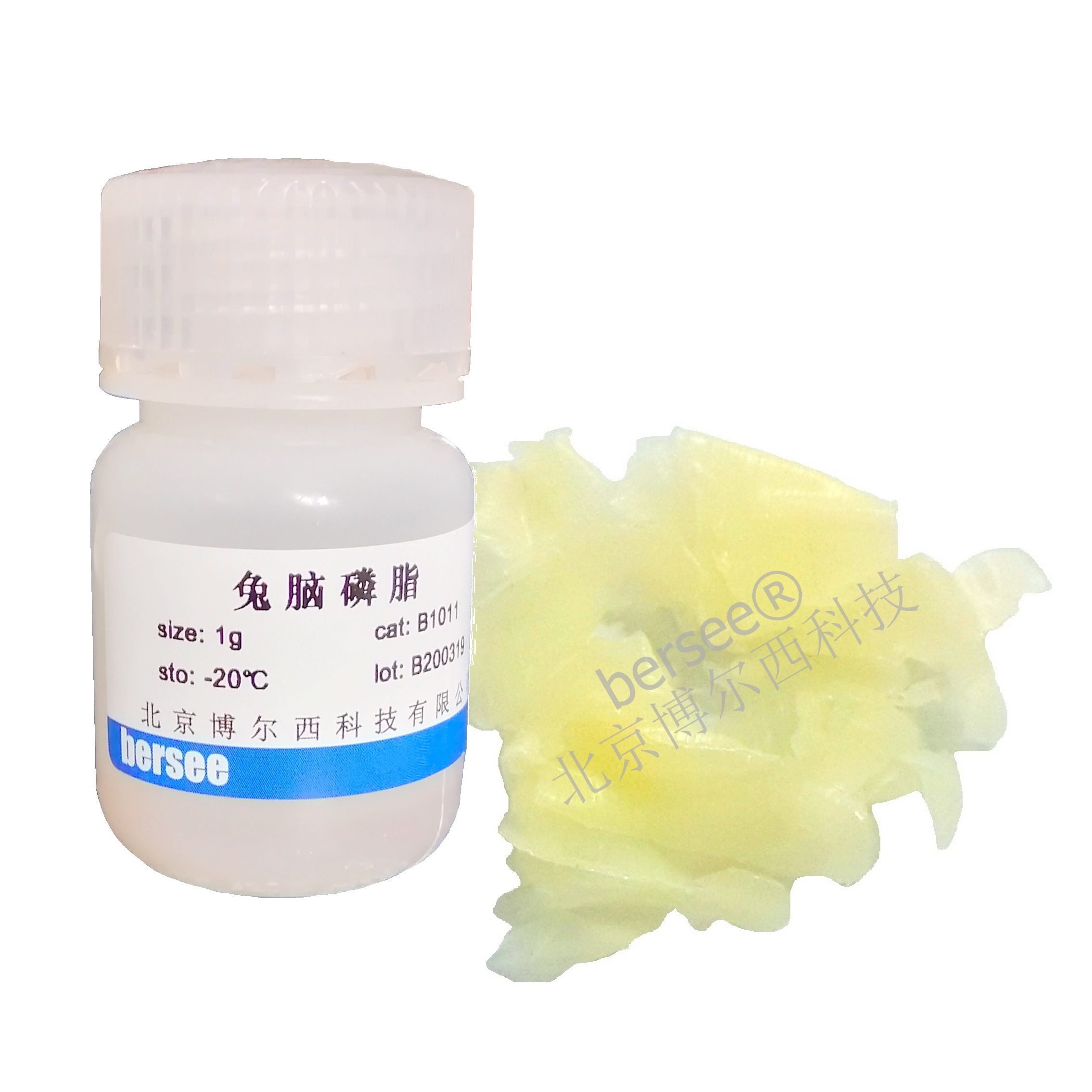 兔脑磷脂（APTT凝血试剂配制）