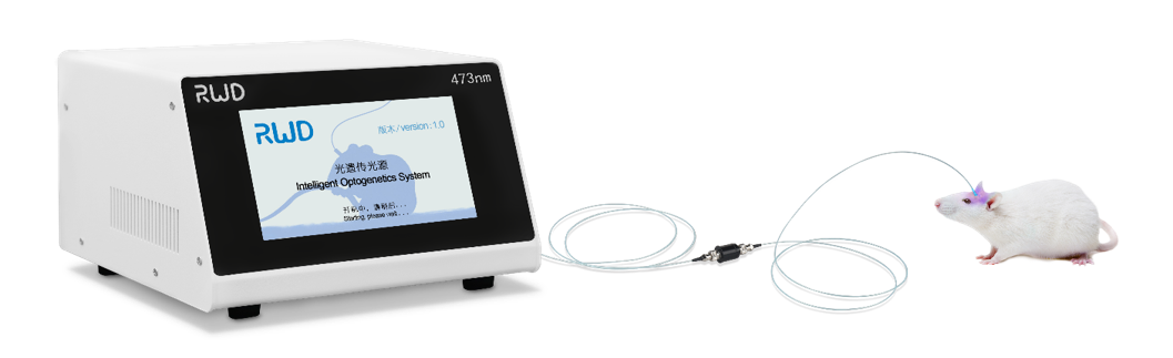 光遗传技术，如何让生命科学更具想象力