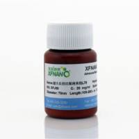 超大长径比银纳米线L70