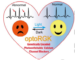 光遗传技术，如何让生命科学更具想象力