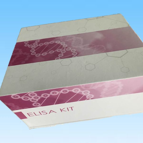 CCAAT/enhancer-binding protein alpha ELISA Kit