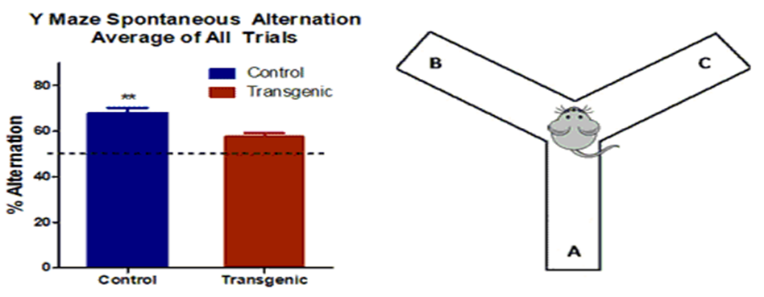 技术干货 | 详解动物行为学之学习记忆研究方法