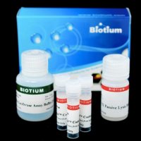 Renilla Luciferase Assay Kit 2.0 30082-T