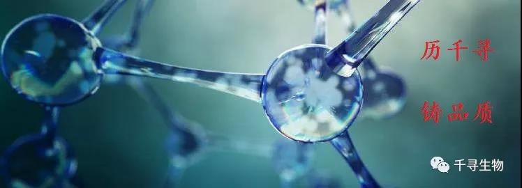 分离一株猫杯状病毒，愿合作利用，价值最大化！