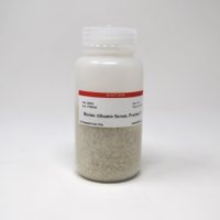 Bovine Serum Albumin-Fraction V 22013