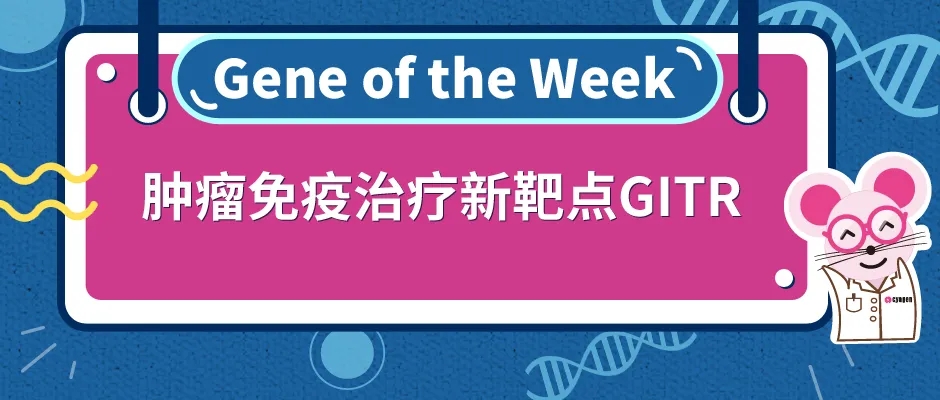GITR人源化小鼠，助力肿瘤研究