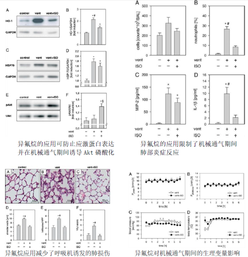 动物手术中，如何避免长时麻醉的痛？