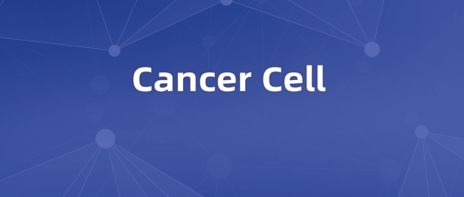 赛业生物点突变小鼠助力红白血病发病机制研究