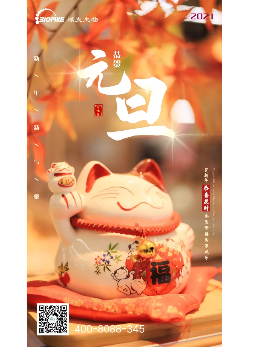 派克生物祝您元旦快乐！