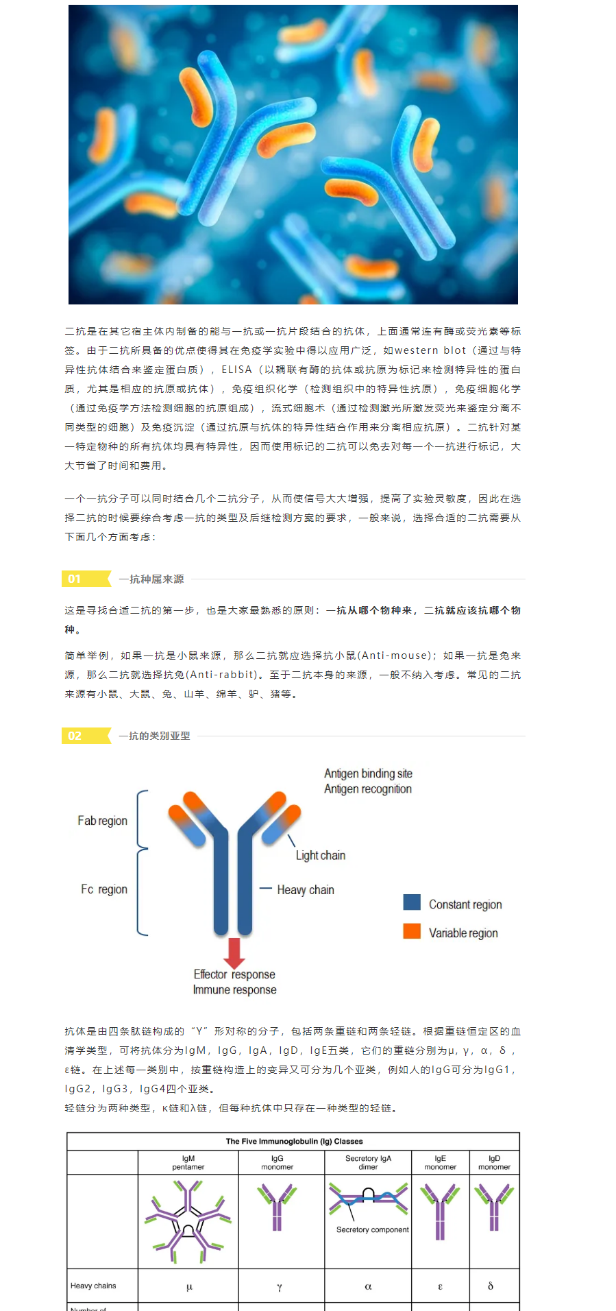 【干货满满】三分钟解决二抗选择问题