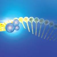 m1A-seq RNA甲基化测序