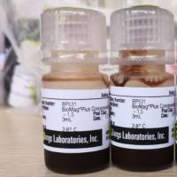 刀豆蛋白A（刀豆凝集素A ，ConA）磁珠