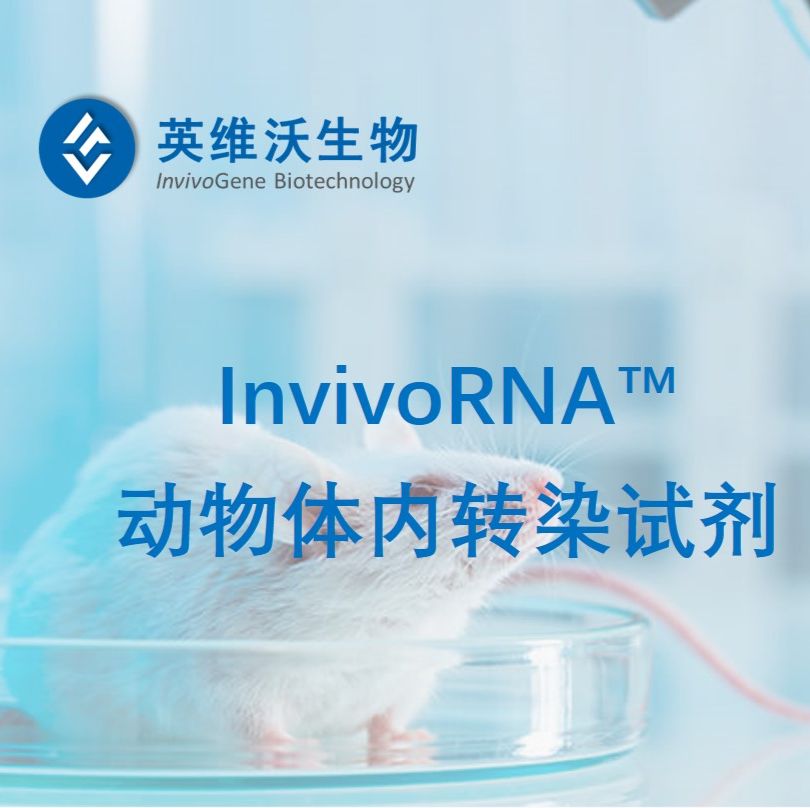 InvivoRNA™动物体内转染试剂