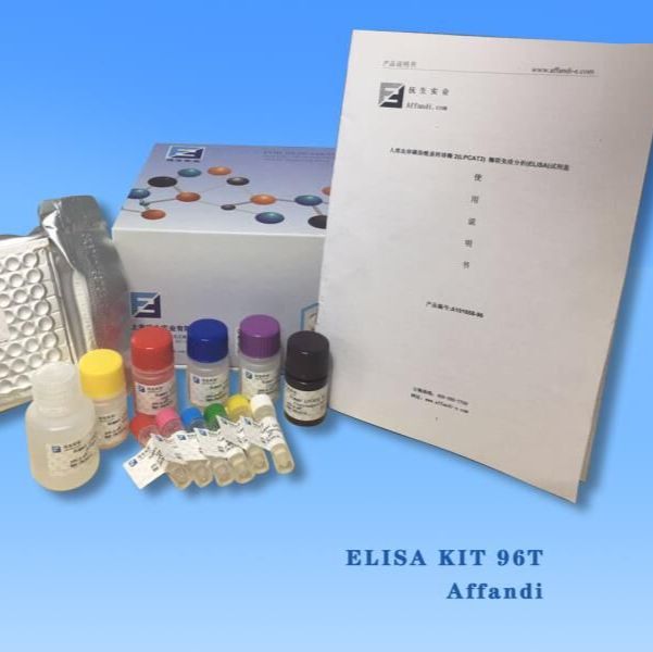 FOR Glutamate receptor 1 ELISA Kit