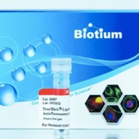 TrueBlack 脂褐质自发荧光淬灭剂, 20X in DMF