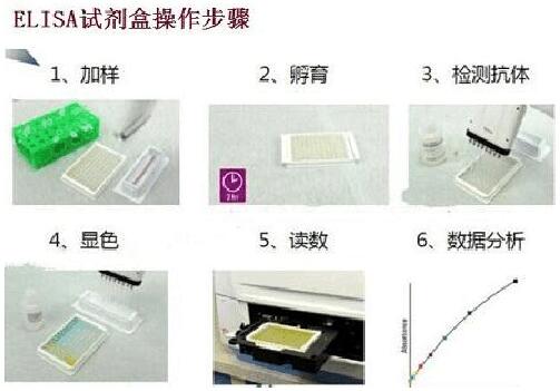 FOR Triosephosphate isomerase 