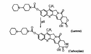 脂质体分析：为何Onivyde使用蔗糖八硫酸酯X盐梯度