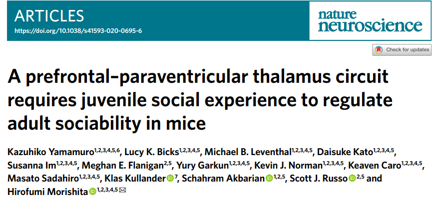 幸运的人一生都被童年治愈，不幸的人一生都在治愈童年。近期研究揭示童年社会经历对成年后社交行为产生深远影响