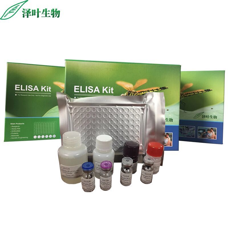 ELISA试剂盒