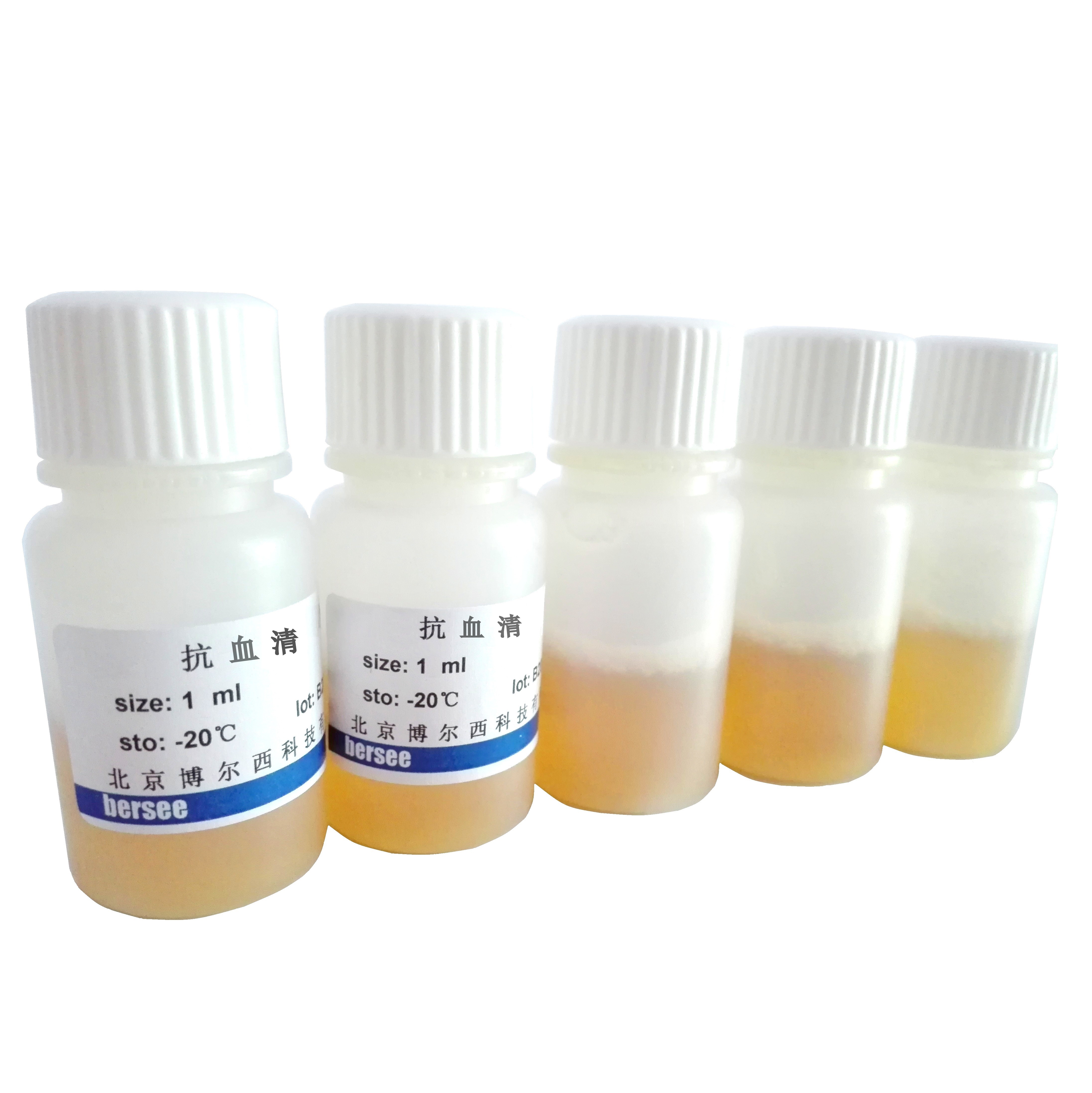 溶血素（兔抗绵羊红细胞抗体：SRBC抗体）（补体溶血实验用）