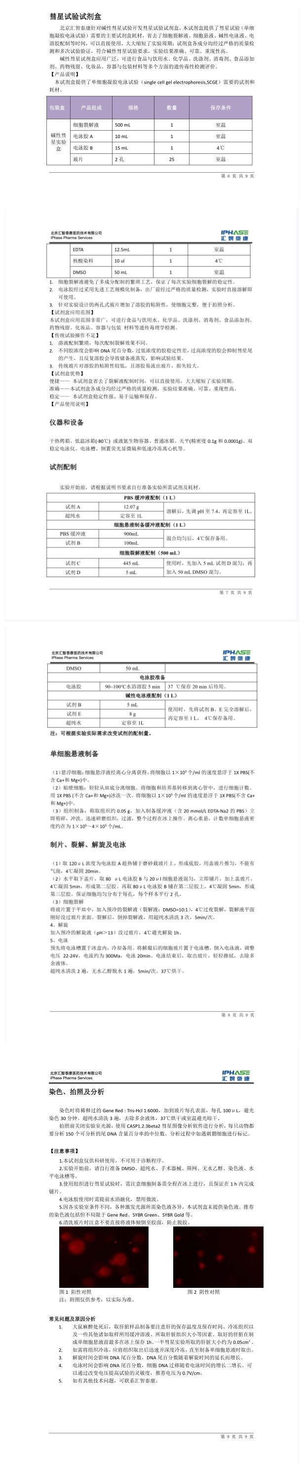 体内碱性彗星试验原理及注意事项