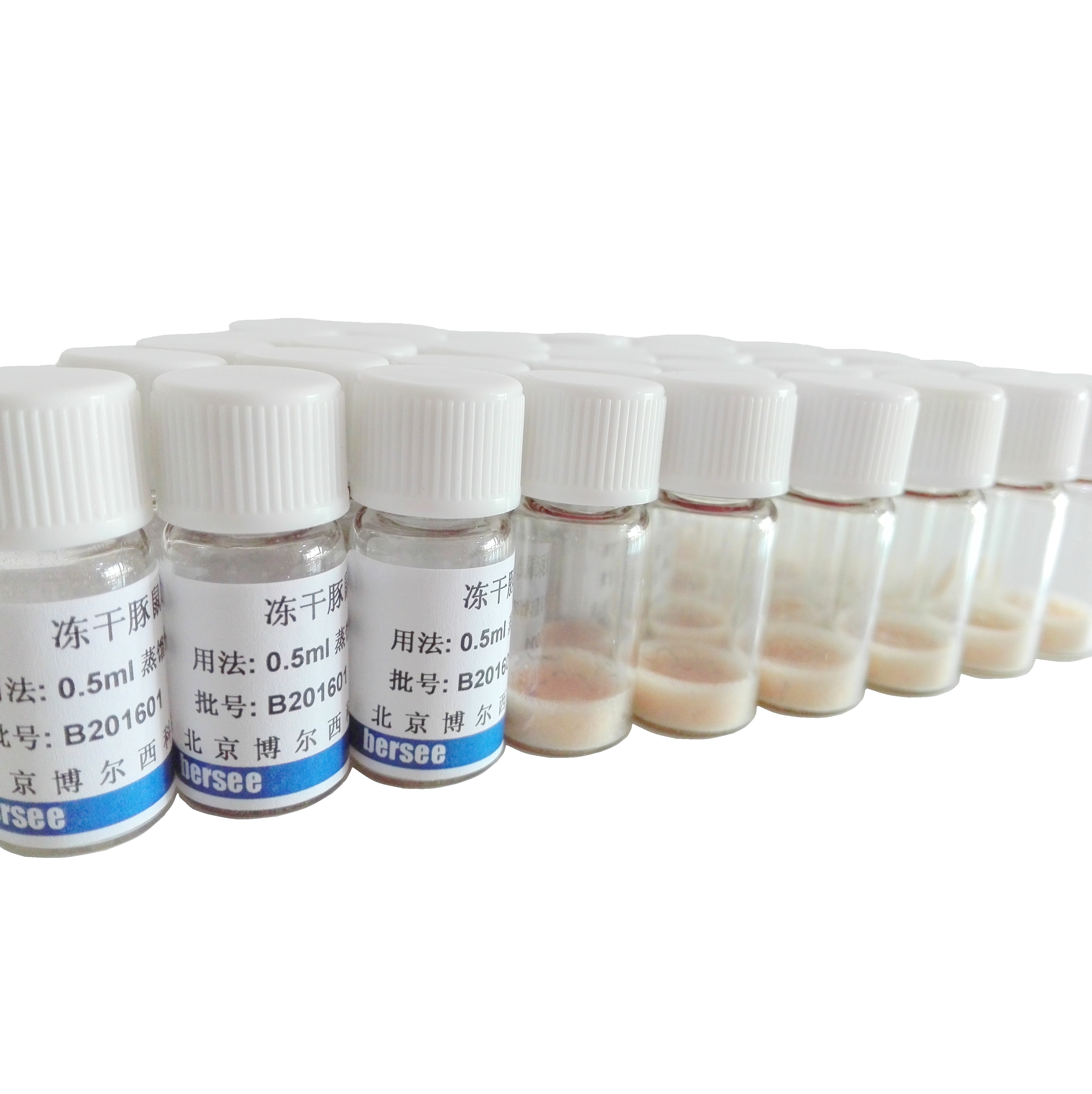 冻干补体（冻干豚鼠血清）（补体溶血实验用）